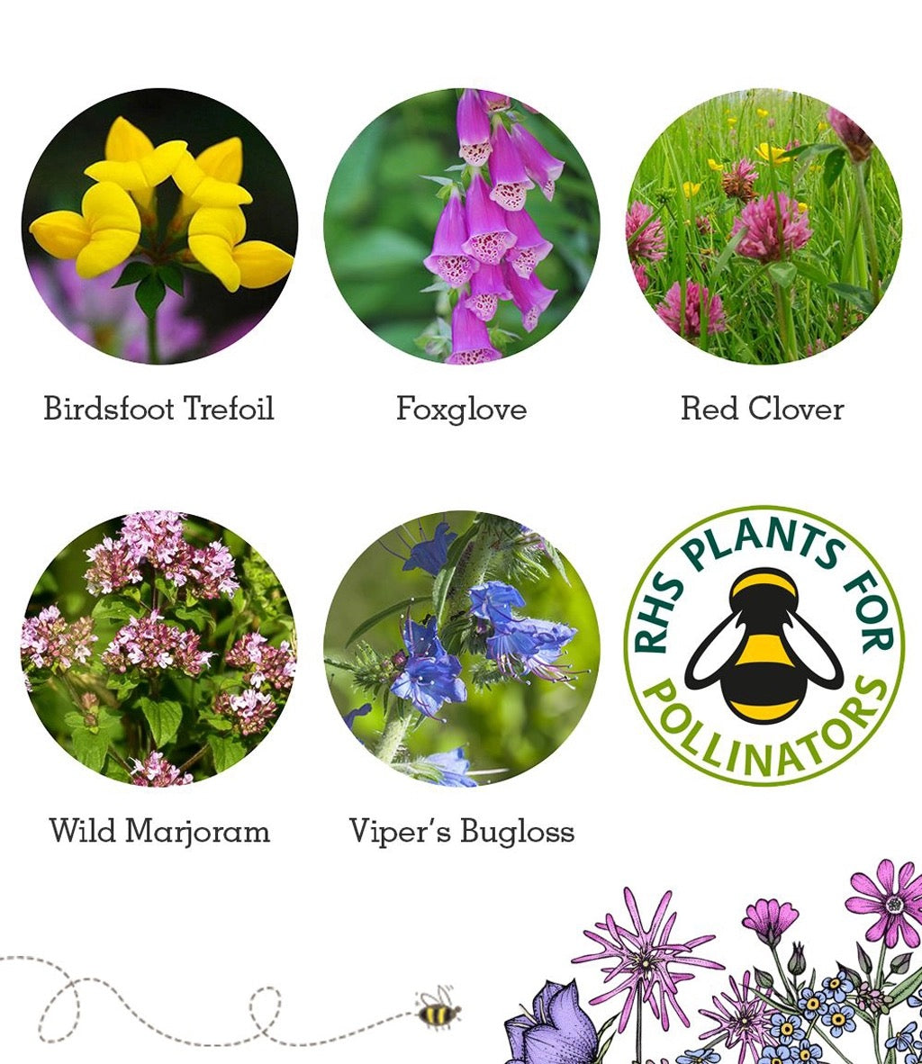 Seedball Wildflower Grab Bags - Bee Mix