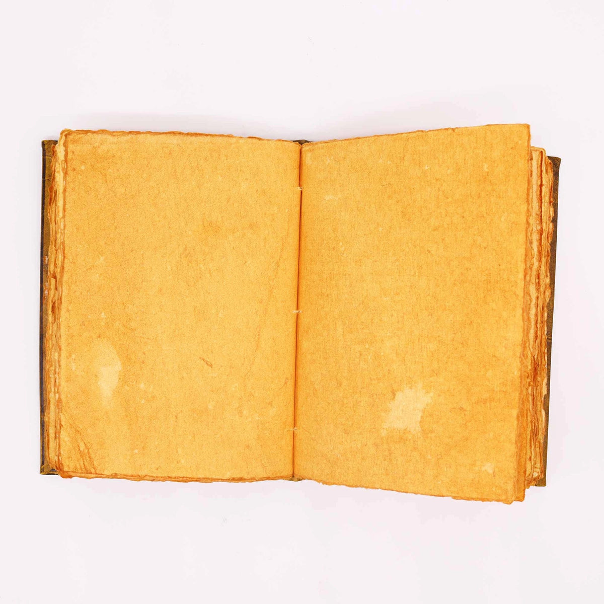 Owl Grimoire / Notebook