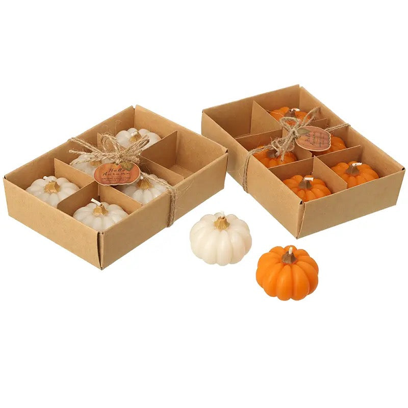 Pumpkin Candles - set of 6 - choose from orange or white