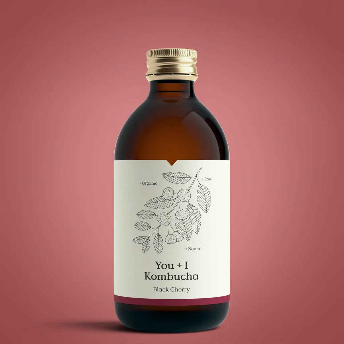 Kombucha | Black Cherry