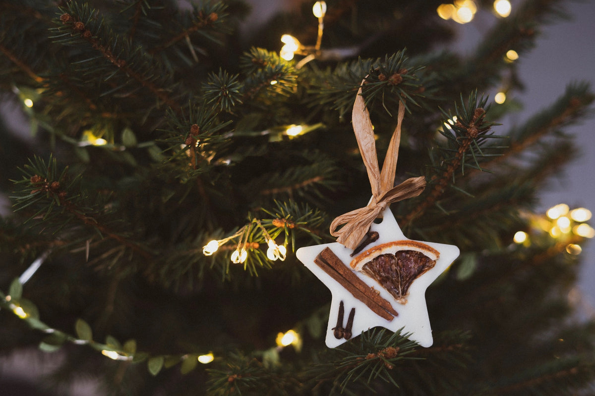 Cranberry, Orange and Cinnamon wax melt star hanging decor
