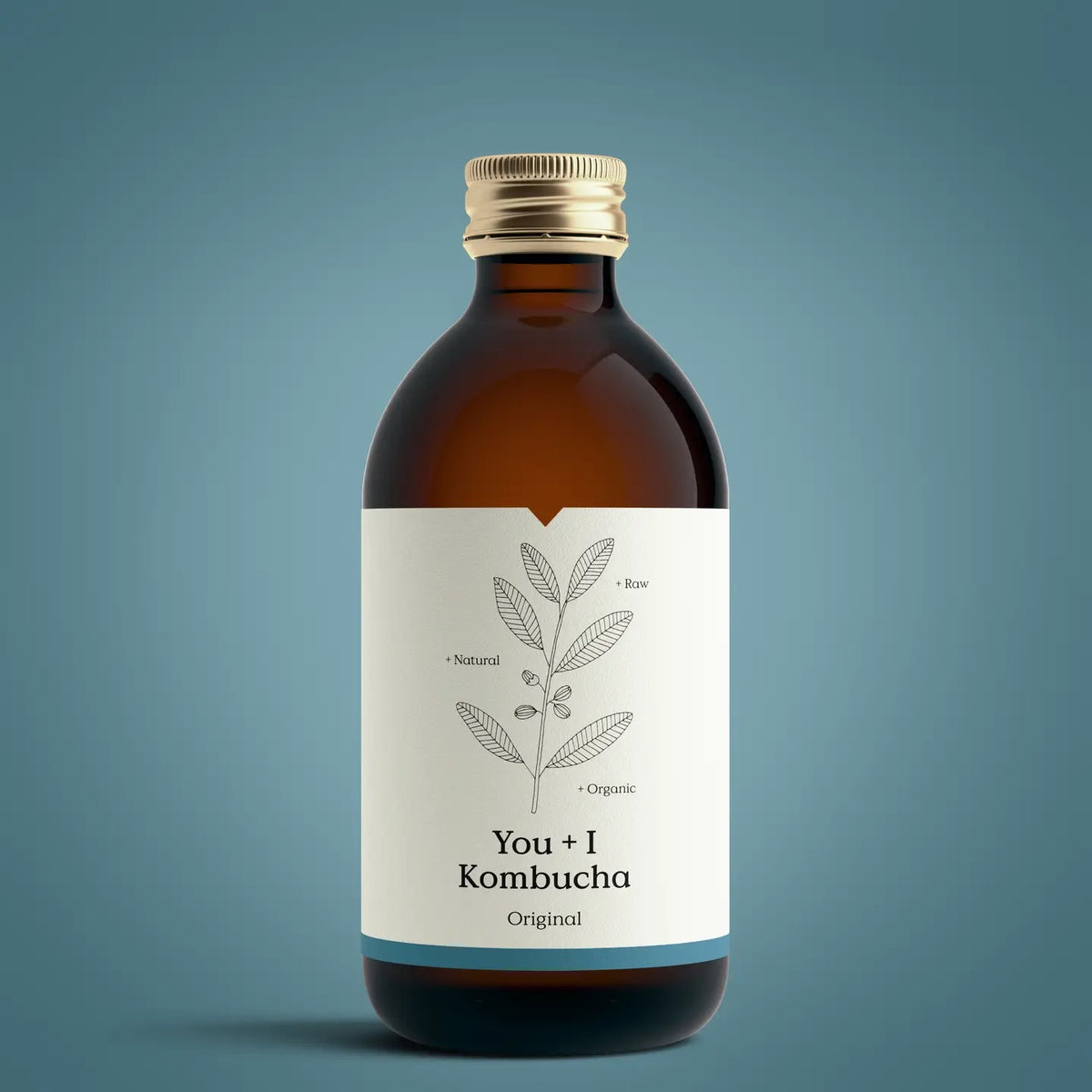 Kombucha | Original