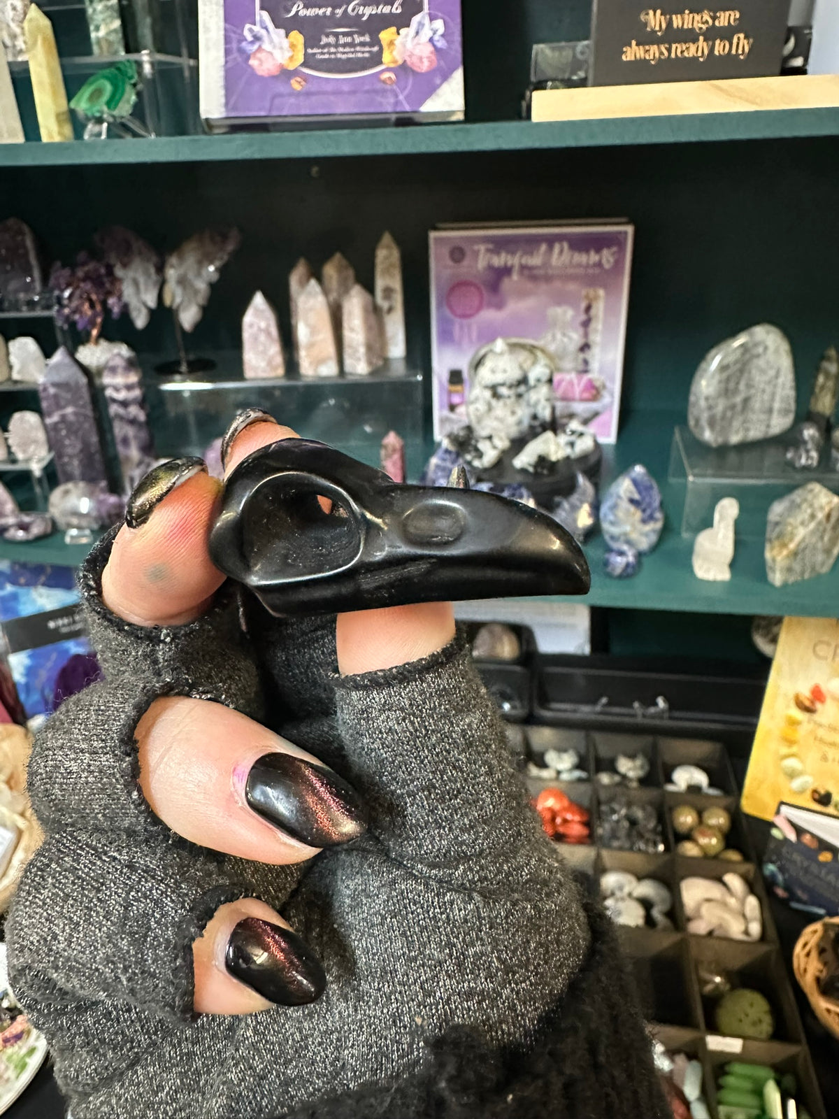 Raven Skull Obsidian Carving