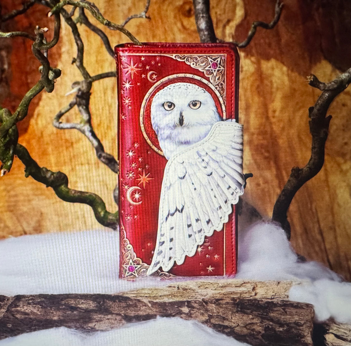 Magical Flight Witchy Owl Purse (18.5cm)